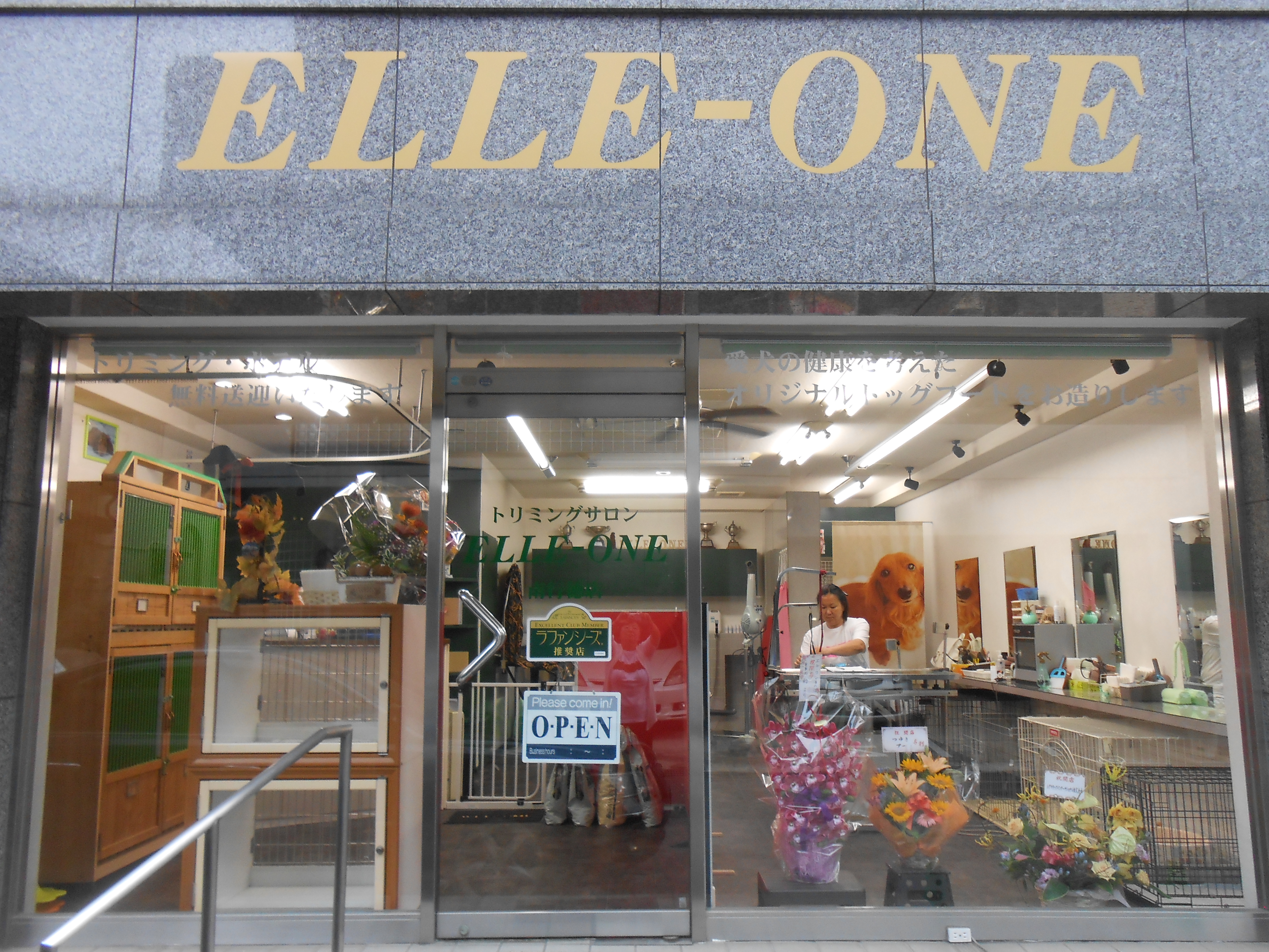 千葉県市川市のトリミングサロン ELLE-ONE 南行徳店の6枚目