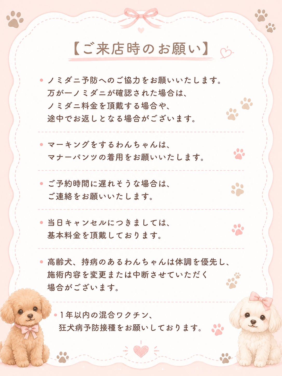 DogSalon ANANA 5
