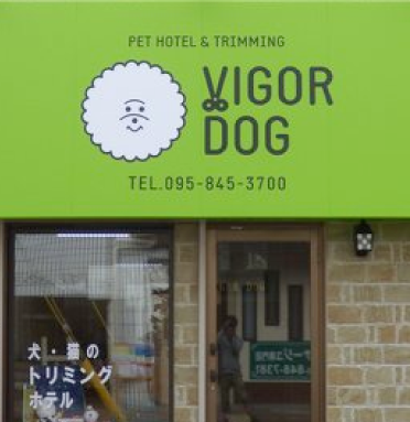 VIGOR DOG