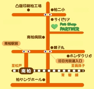 千葉県柏市のトリミングサロン ペットショップパートナーの5枚目