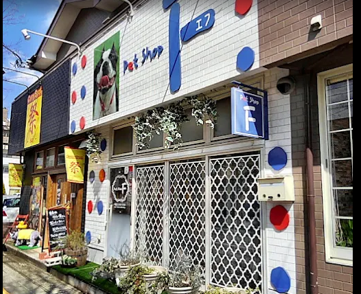 Pet Shop F 7