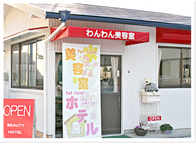 静岡県浜松市西区のトリミングサロン わんわん美容室 ペットホテルのサムネイル2枚目