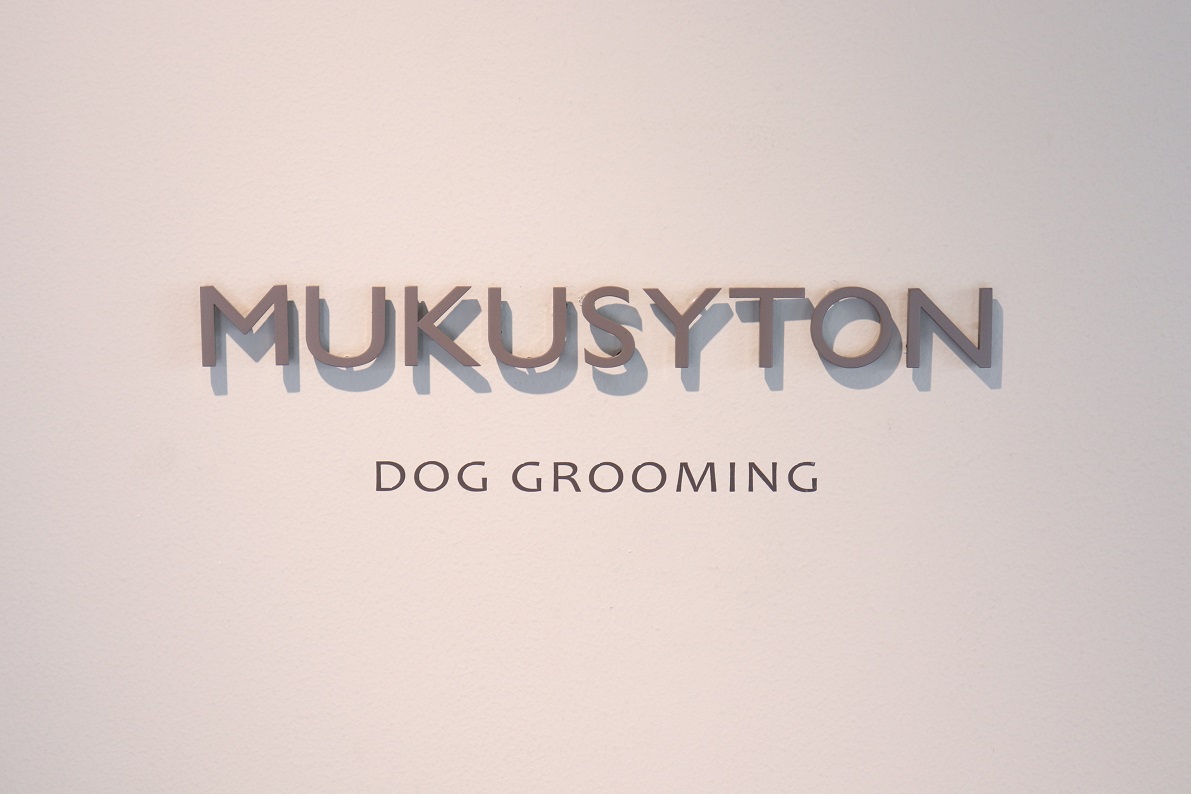 トリミングサロン MUKUSYTON DOG GROOMINGからのお知らせ 2018-11-08