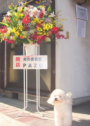 広島県尾道市のトリミングサロン 犬の美容室 PAZUの1枚目