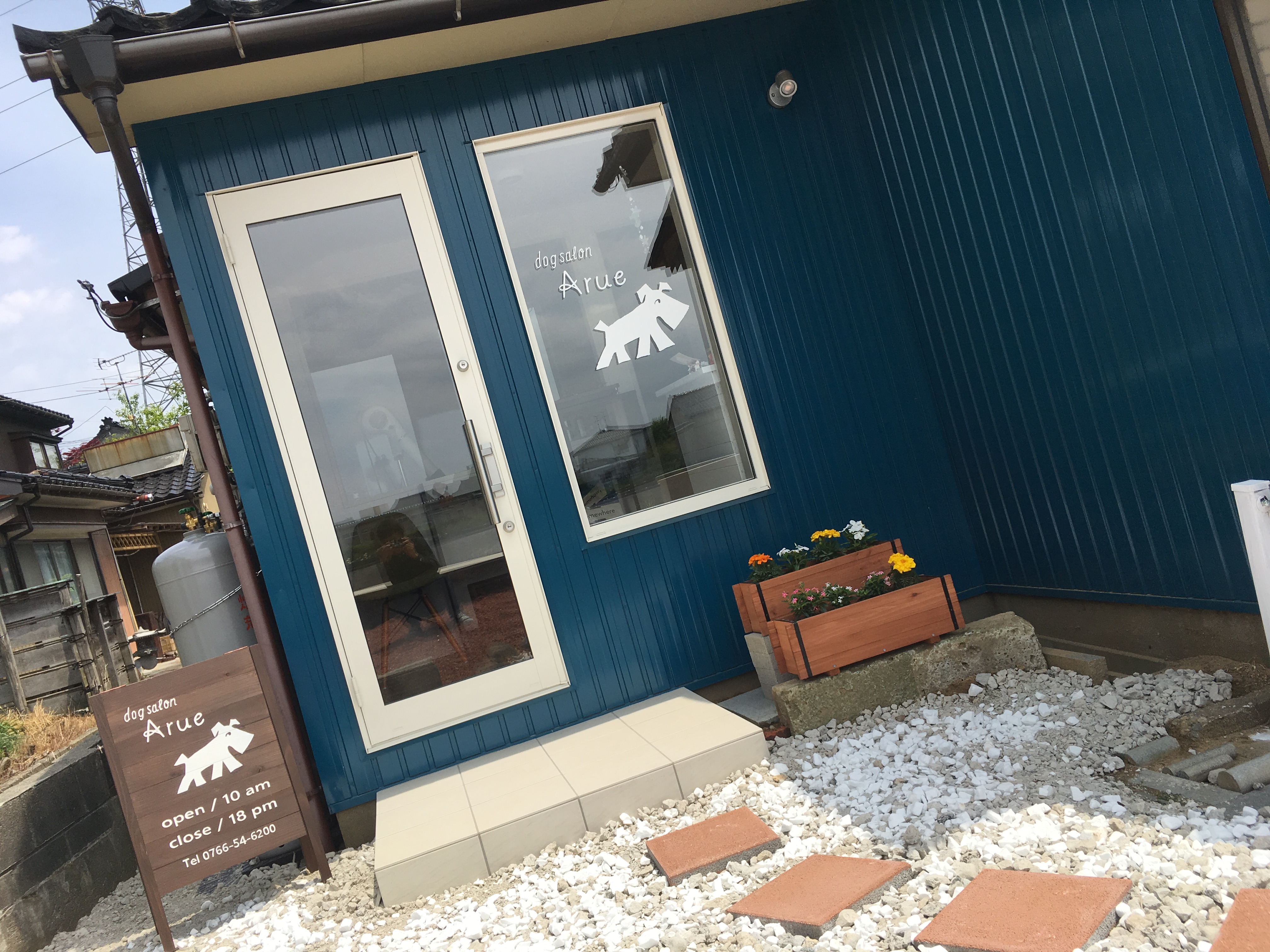 富山県射水市のトリミングサロン dog salon Arueの1枚目