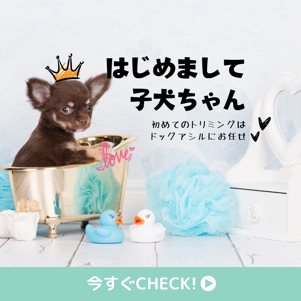 ドッグアシルを利用するならクーポンがおすすめ!