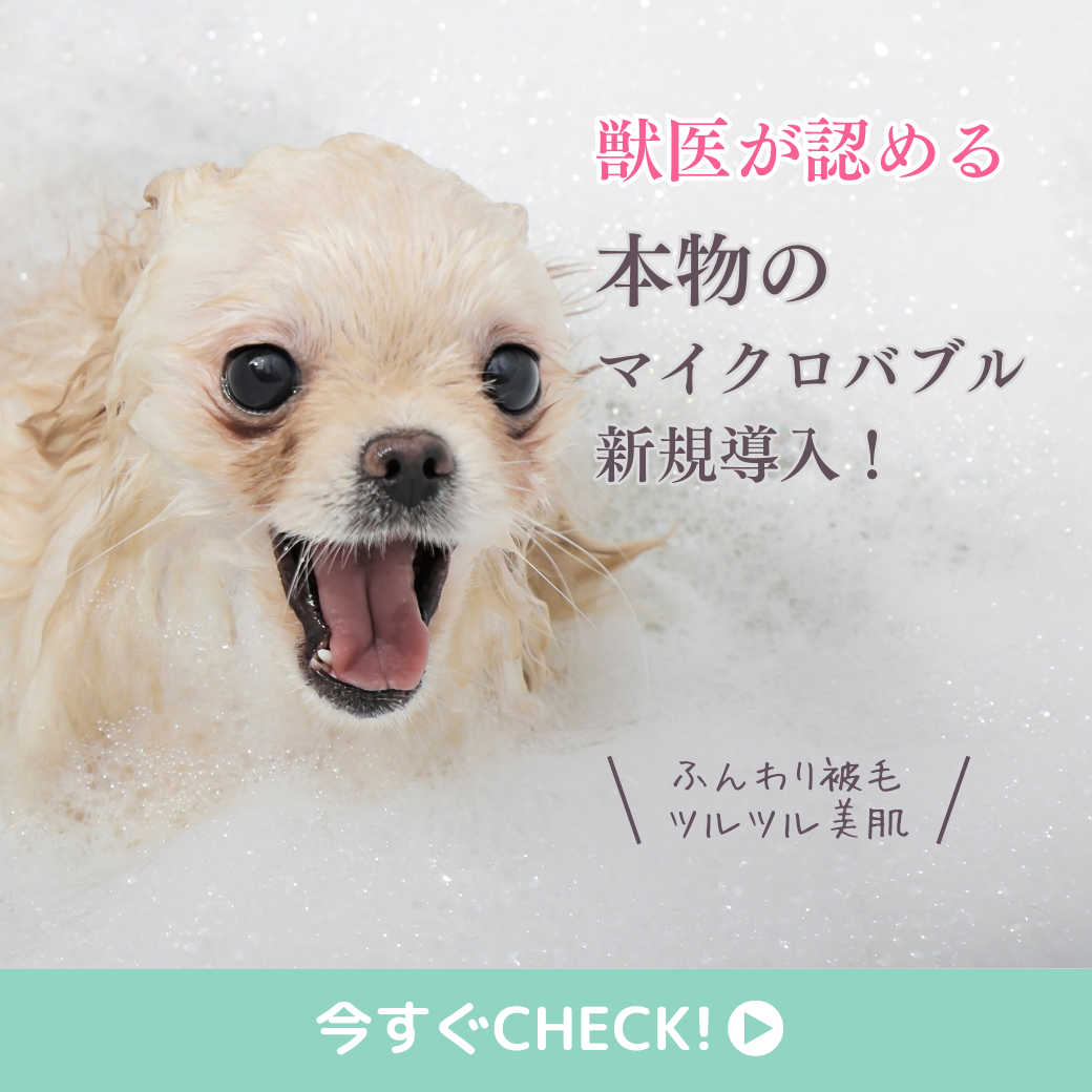 田舎の小さなサロンに、どうして県外からお客様がやってくるのか?