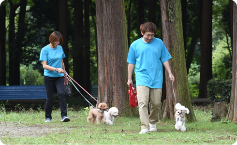 神奈川県座間市のトリミングサロン DOG FREAKS 座間店のサムネイル2枚目