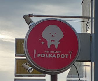 栃木県下野市のトリミングサロン ＰＥＴＳＡＬＯＮ　ＰＯＬＫＡＤＯＴの3枚目