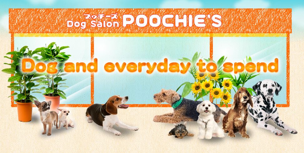 東京都大田区のトリミングサロン Dog Salon POOCHIE'Sのサムネイル1枚目