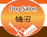 Dog　Salon　鵠沼 のサムネイル