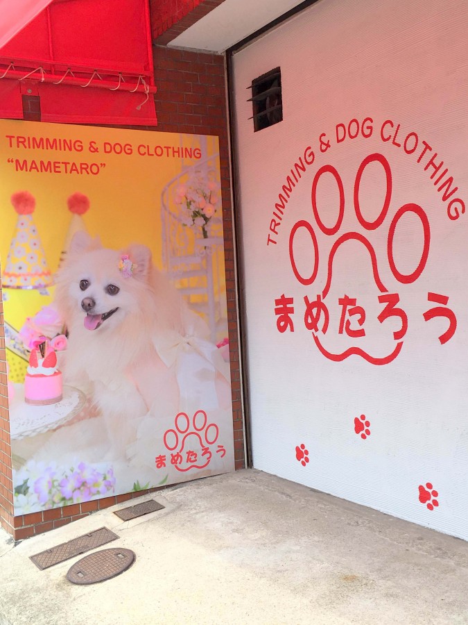 犬の美容室まめたろう