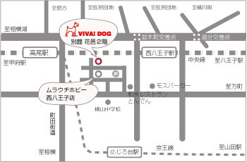 東京都八王子市のトリミングサロン VIVA!DOG　西八王子店のサムネイル2枚目