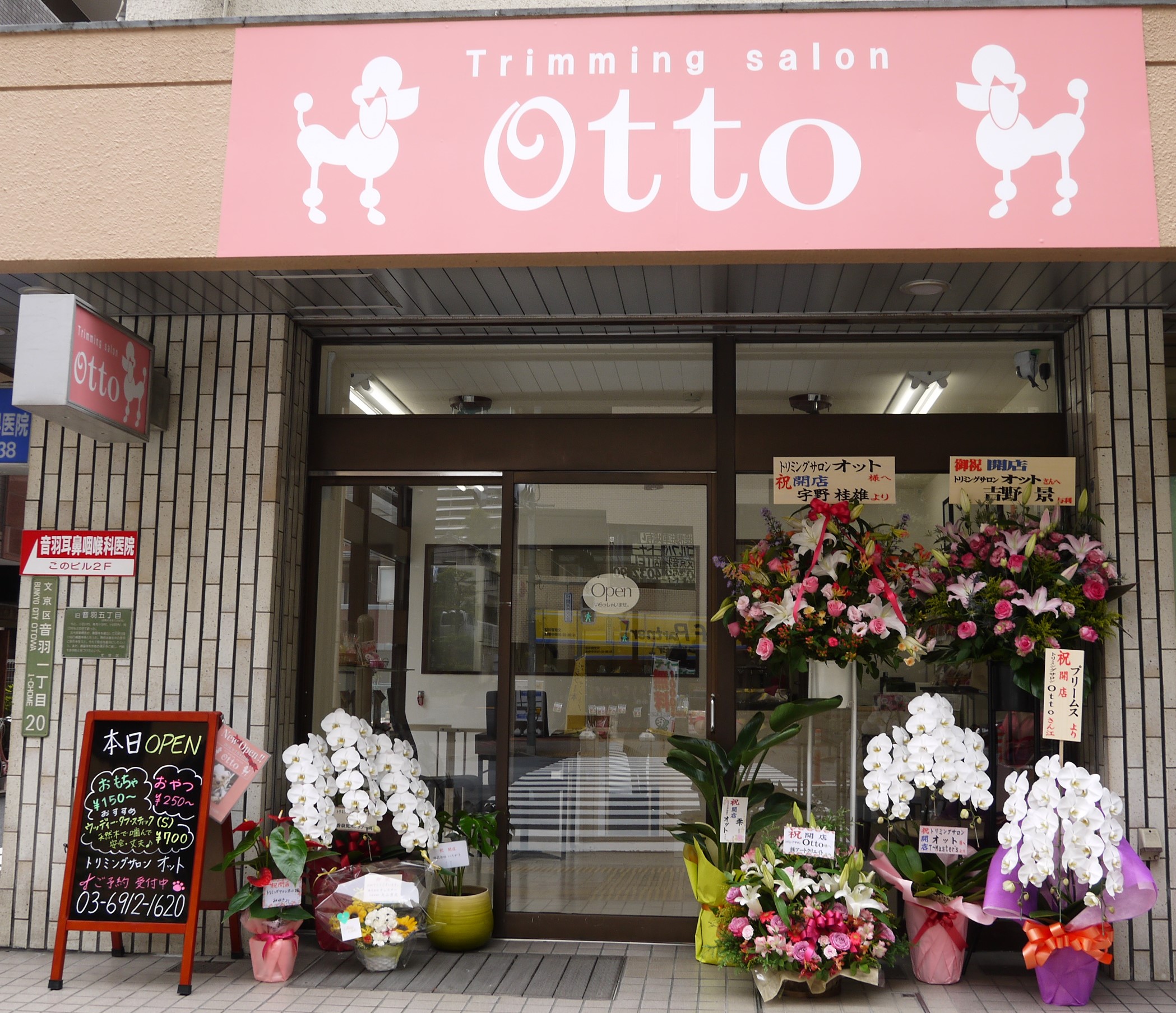東京都文京区のトリミングサロン trimming salon Ottoのサムネイル1枚目