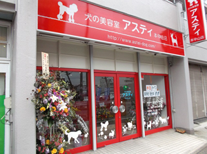 千葉県船橋市のトリミングサロン 犬の美容室アスティ 本中山店のサムネイル1枚目