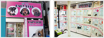 ペットショップbabydoll 渋谷道玄坂店 渋谷道玄坂のペットショップベビードール トリミングサロンの予約 検索ならトリムトリム ペットショップbabydoll 渋谷道玄坂店 渋谷道玄坂のペットショップベビードール トリミングサロンの予約 検索ならトリムトリム