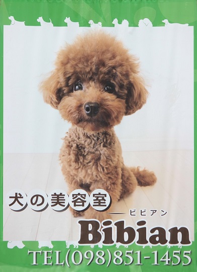 沖縄県豊見城市のトリミングサロン 犬の美容室　ビビアンのサムネイル1枚目