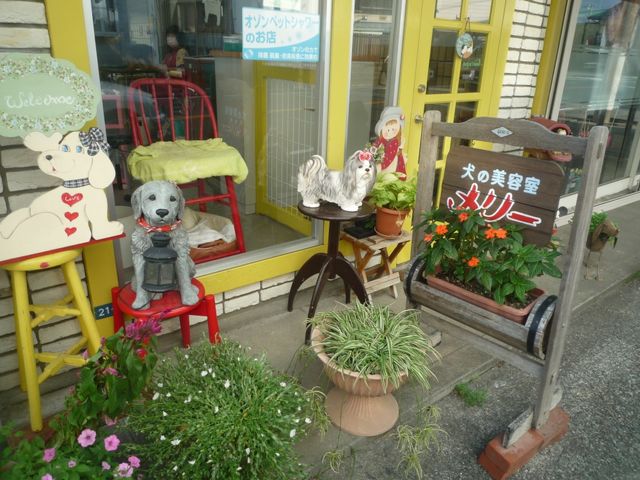 静岡県三島市のトリミングサロン 犬の美容室 メリーのサムネイル1枚目
