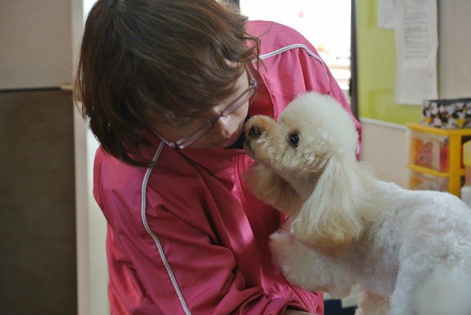 福井県坂井市のトリミングサロン Dog Salon ここほれWAN2の5枚目