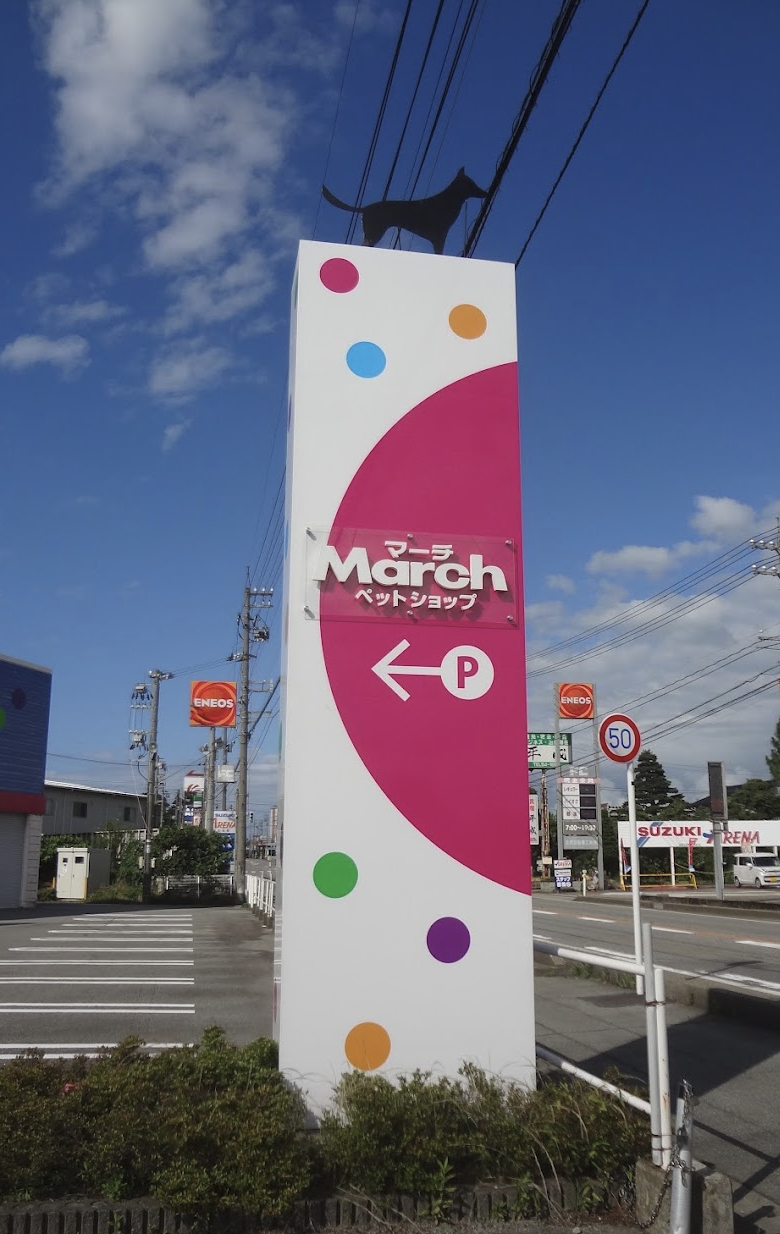 ペットショップマーチ 黒部店 7