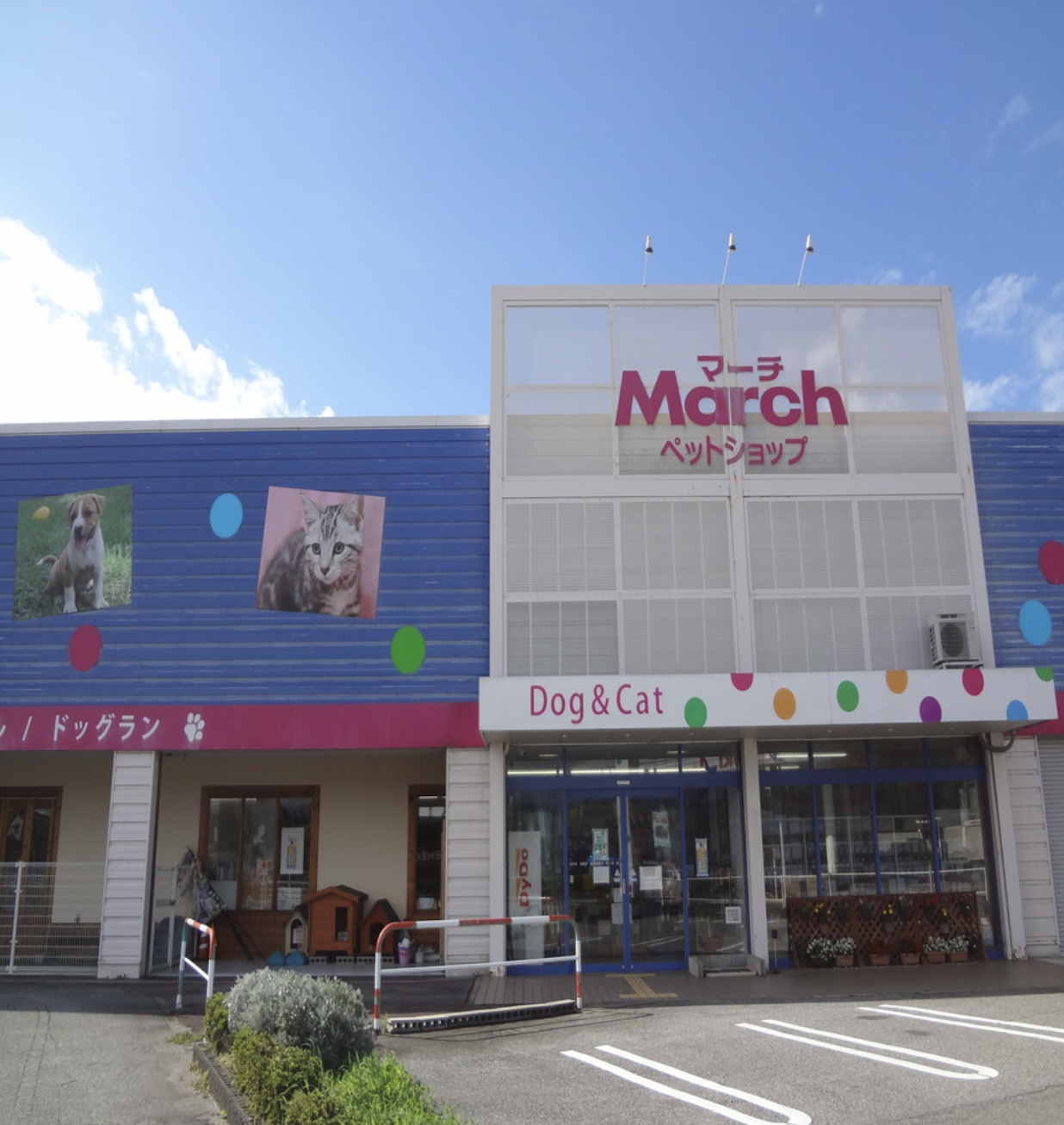 ペットショップマーチ 黒部店 1