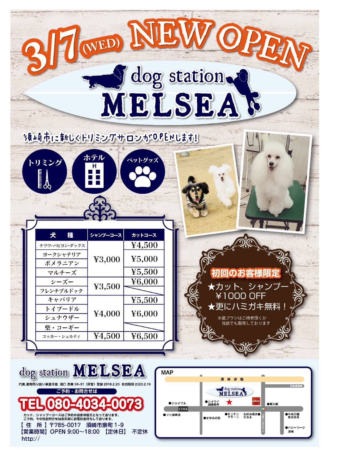 トリミングサロン dog station MELSEAのトリミングカット-3973の1枚目