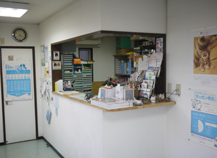 静岡県浜松市東区のトリミングサロン いしかわ動物病院のサムネイル2枚目