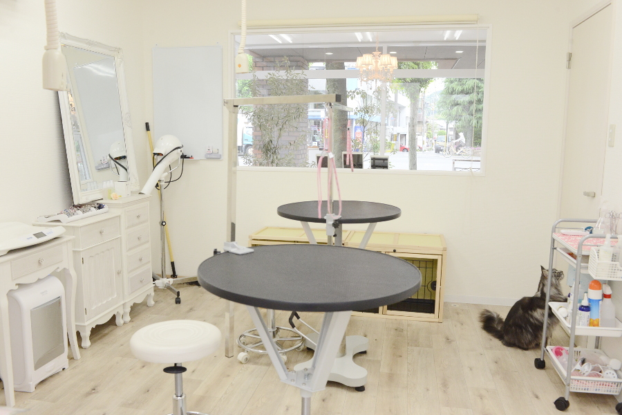 ペットサロンミルン 4