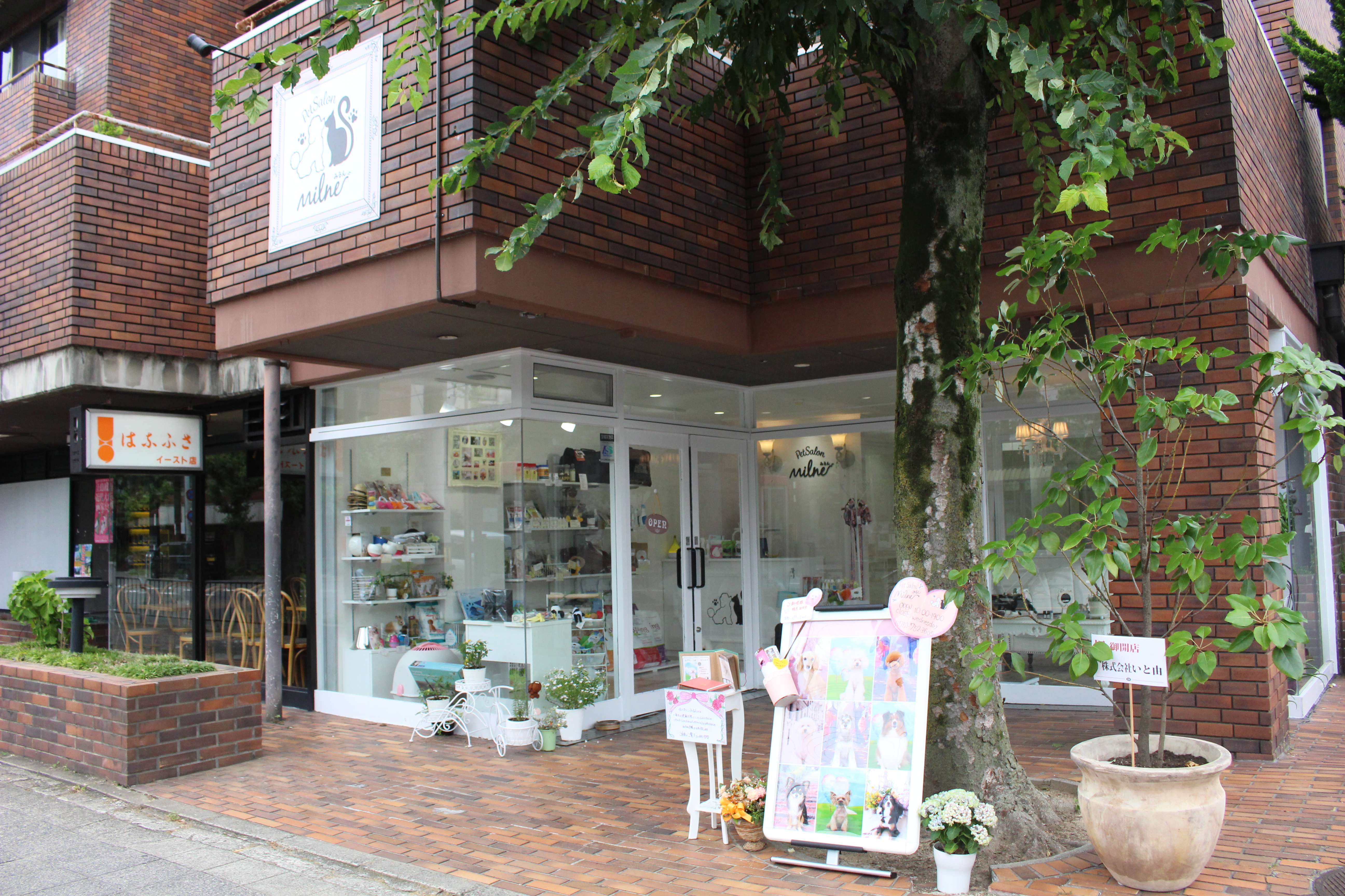 ペットサロンミルン 2