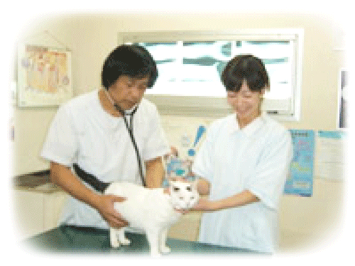 石川県金沢市のトリミングサロン なかむら動物病院のサムネイル2枚目