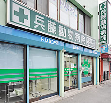 神奈川県横浜市保土ケ谷区のトリミングサロン 兵藤動物病院 保土ヶ谷橋の1枚目