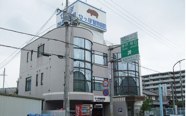 兵庫県加古川市のトリミングサロン ひっぽ動物病院のサムネイル2枚目