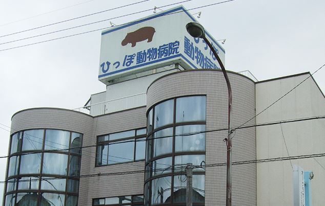 兵庫県加古川市のトリミングサロン ひっぽ動物病院のサムネイル1枚目