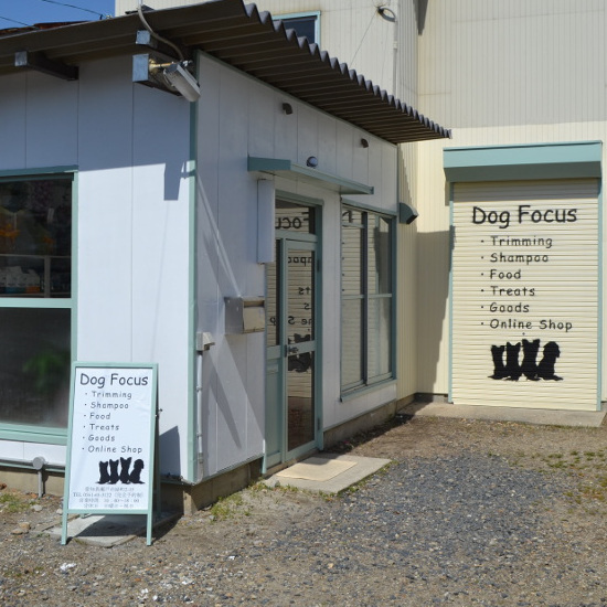 愛知県瀬戸市のトリミングサロン Dog Focusのサムネイル1枚目