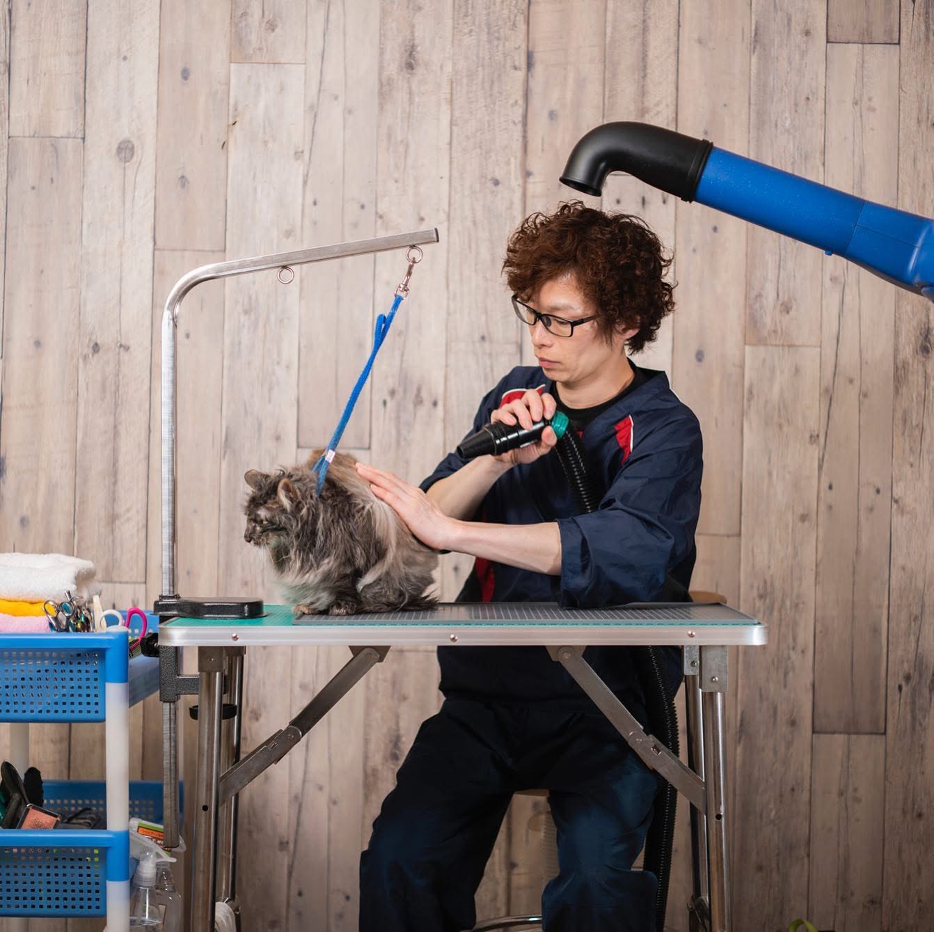 神奈川県横須賀市のトリミングサロン Dog Salon JOYの6枚目