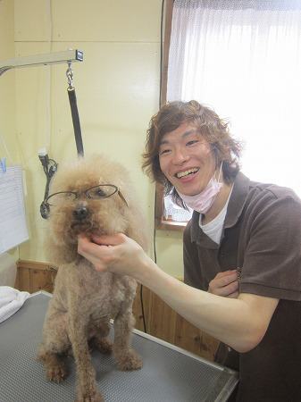 トリミングサロン Dog Salon JOYのトリマー 菅原　祐豪