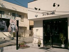 大阪府箕面市のトリミングサロン dog&cat grooming salon A-1BLOOMの1枚目