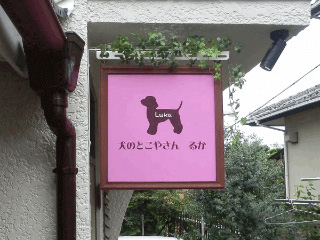 千葉県成田市のトリミングサロン 犬のとこやさん るかの1枚目