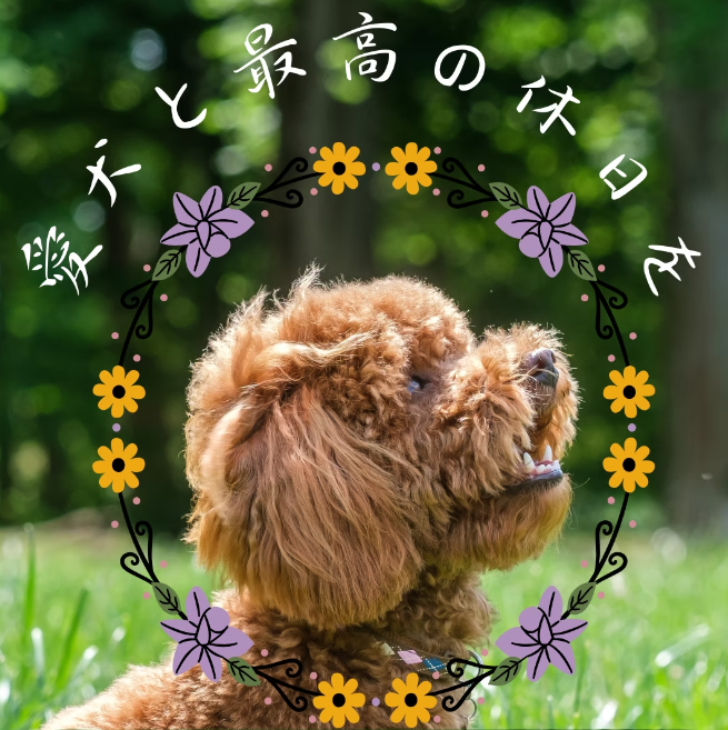 フラッグテール春日井 2