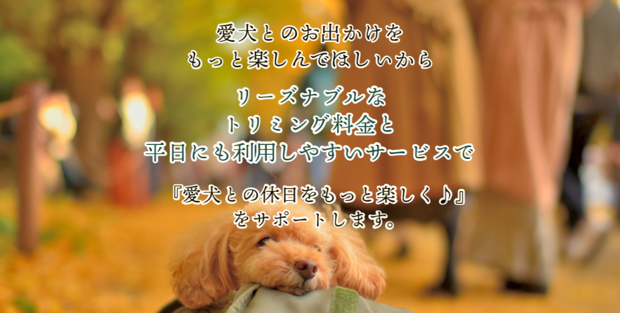 フラッグテール春日井 5