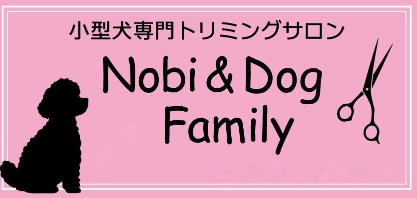 沖縄県北中城村のトリミングサロン 小型犬専門トリミングサロン Nobi＆Dog Familyのサムネイル1枚目