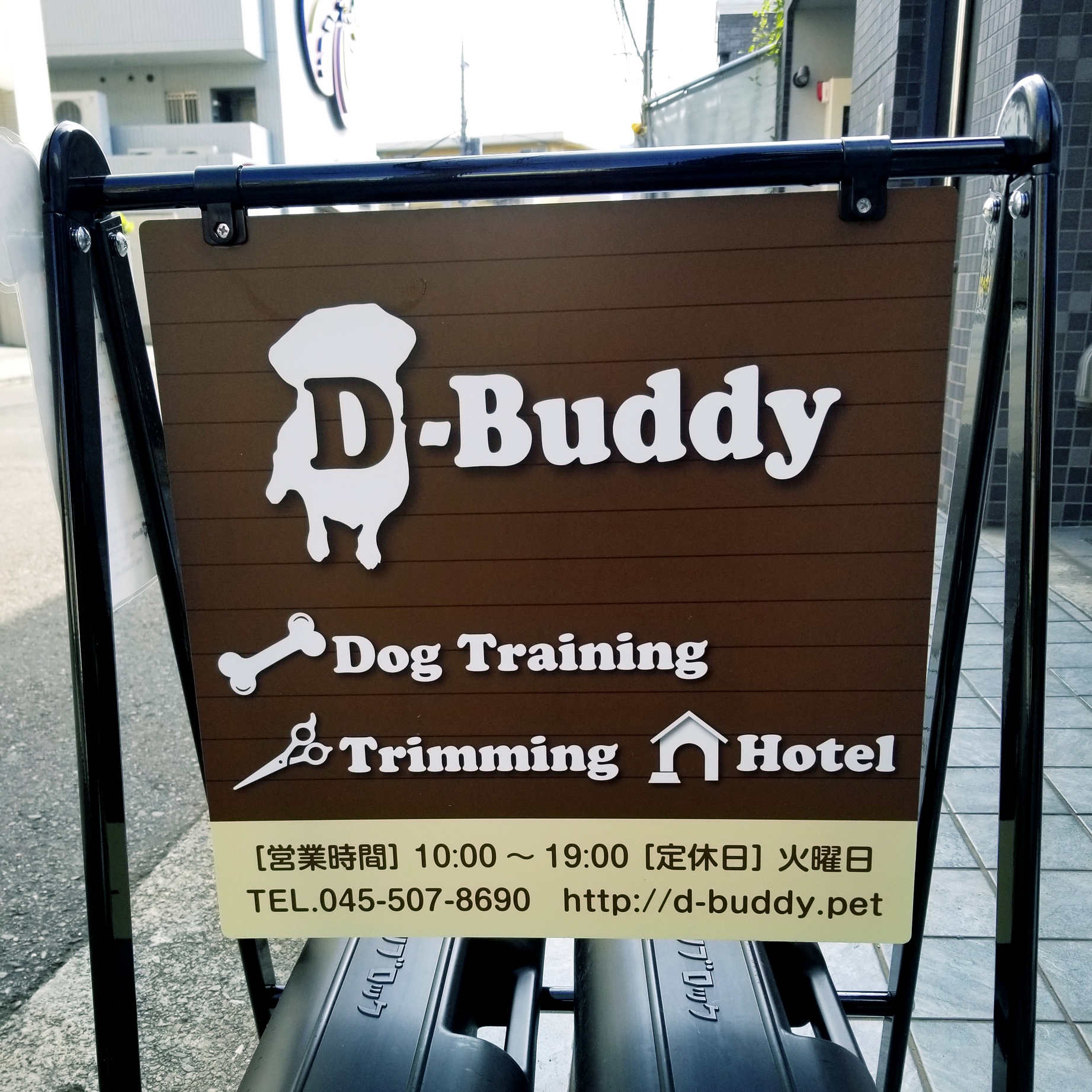 神奈川県横浜市青葉区のトリミングサロン D-Buddyの1枚目