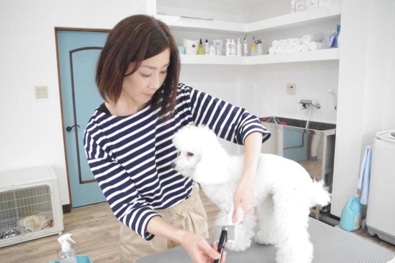 トリミングサロン Dogsalon cocoporteのトリマー 大沼朋美