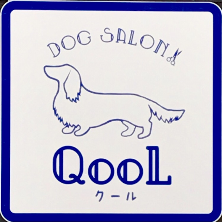 静岡県三島市のトリミングサロン DOG SALON QooLの1枚目