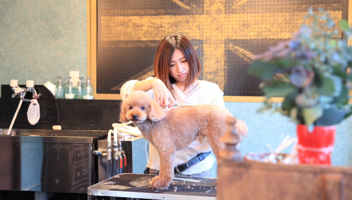 ロイヤルキングダム 4