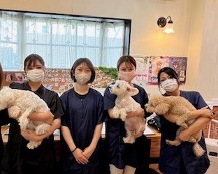 大阪府東大阪市のトリミングサロン Daisy Bellの2枚目