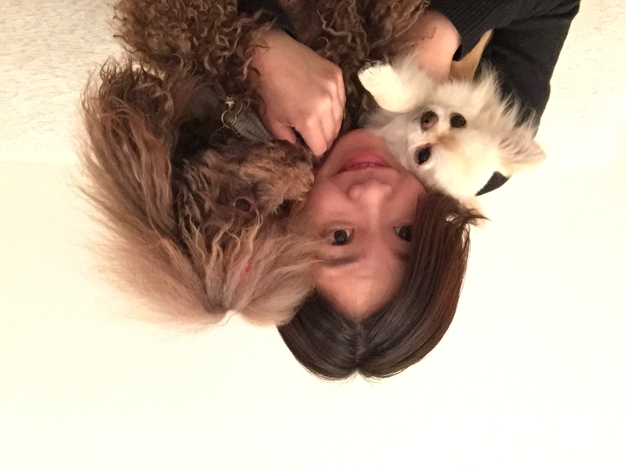 トリミングサロン and R.のトリマー RAN
