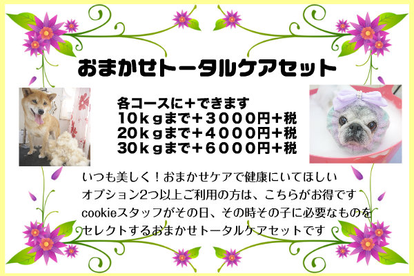 兵庫県宝塚市のトリミングサロン 滞在型トリミングサロン　ハッピーケアサロン クッキーの3枚目