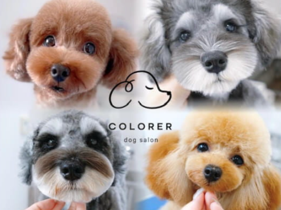 COLORER(クロレ) -dog salon-