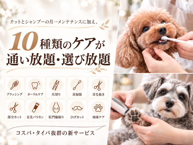 COLORER(クロレ) -dog salon- 横浜本店 2